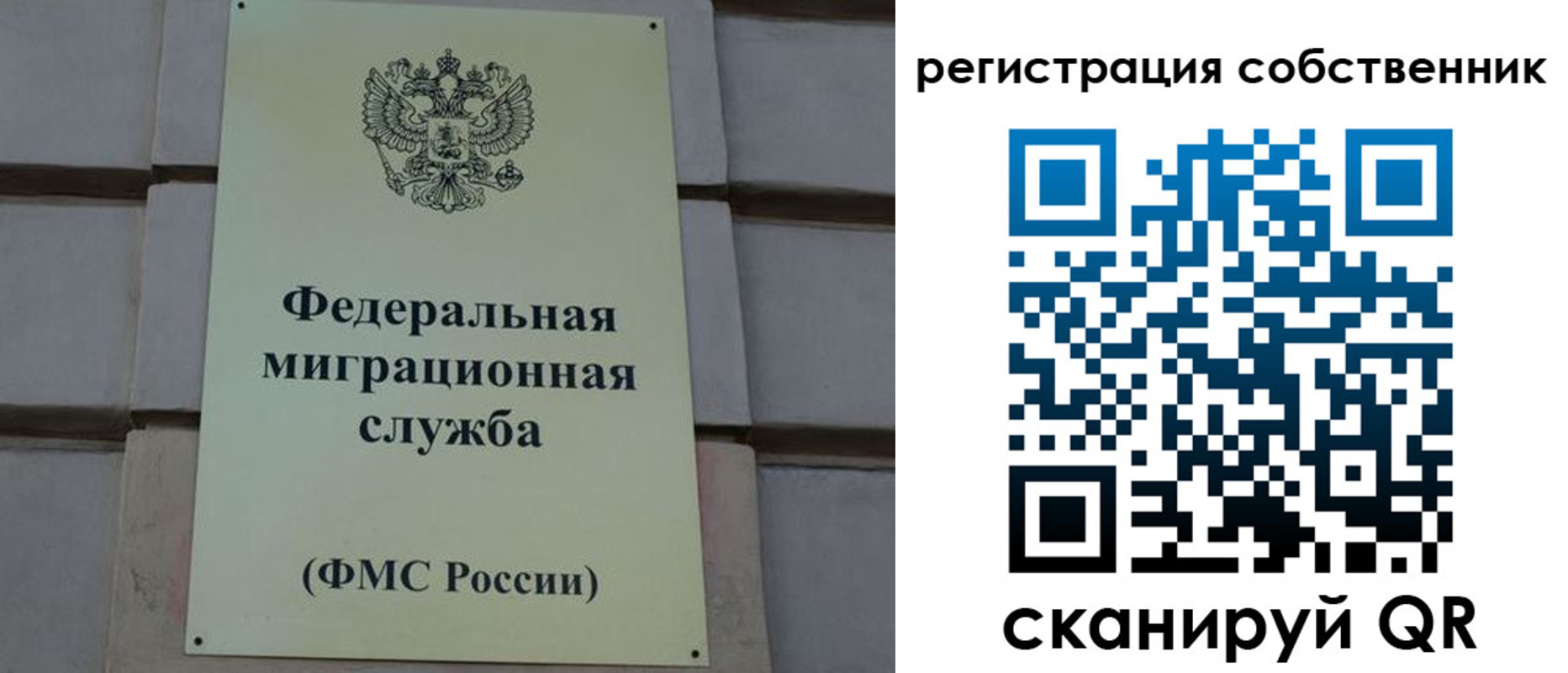 прописка гарантия в Зернограде